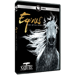NATURE: Equus: Story of the Horse (DVD)